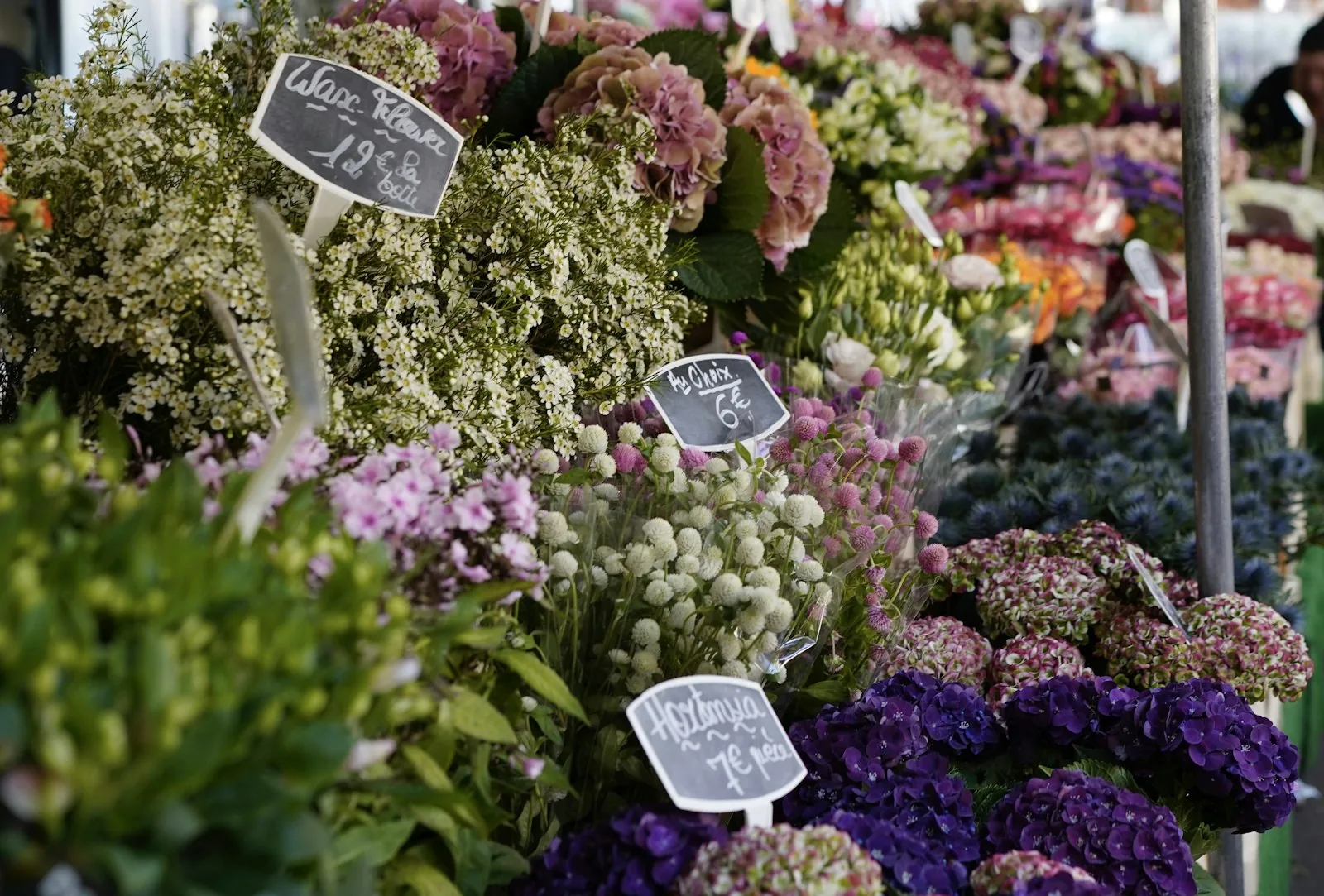 Fresh Produce & Flower Logistics